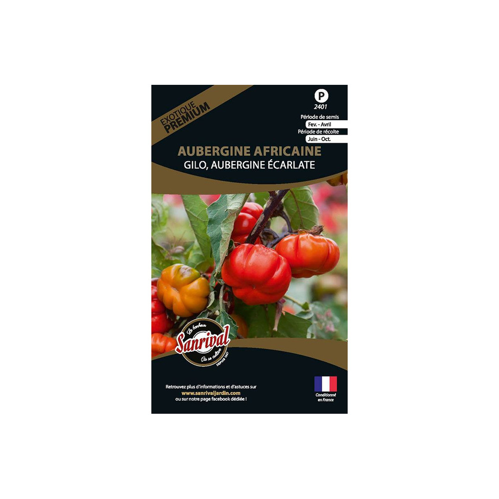 Graines potagères premium aubergine africaine