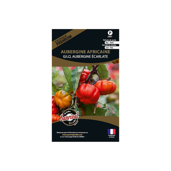 Graines potagères premium aubergine africaine
