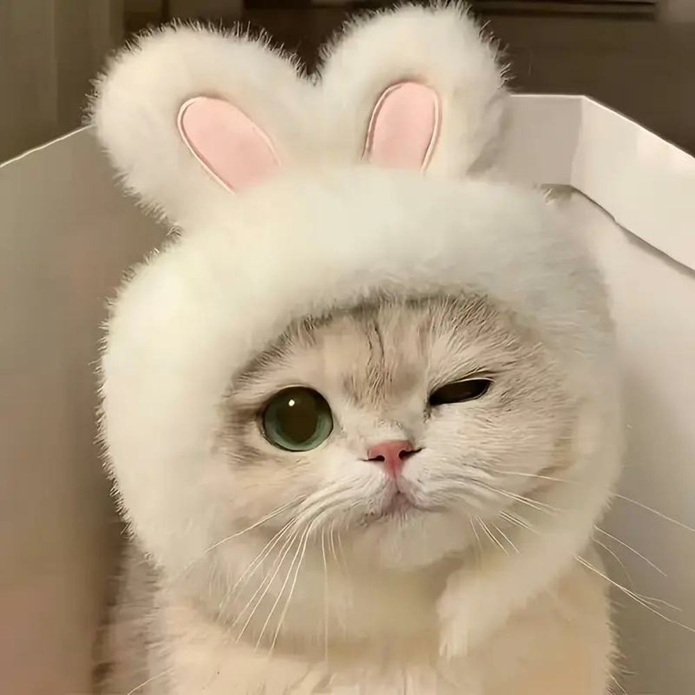Chapeau de chat avec oreilles de lapin de pâques