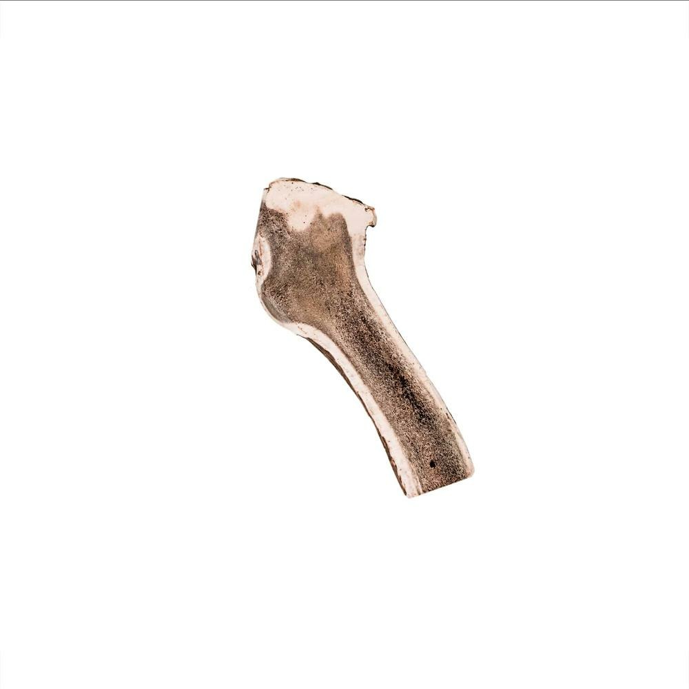 Bois de cerf tranchée - mastication longue pour chiens