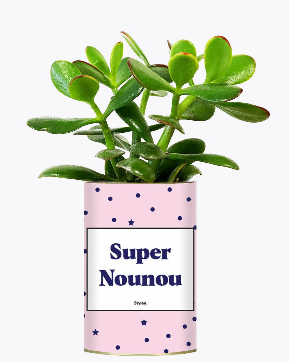 Idée cadeau - super nounou - cactus