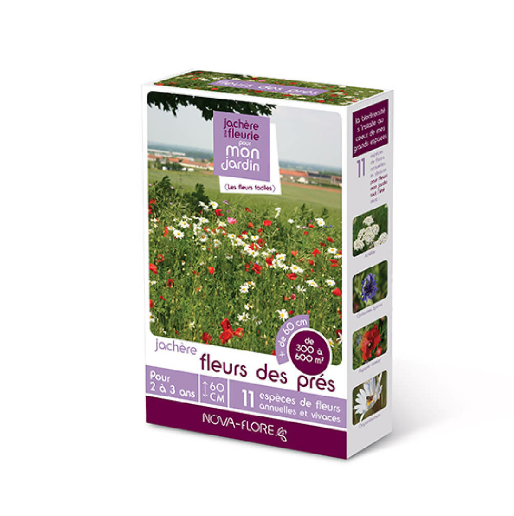 Prairies fleuries : jachères fleurs des prés 300 à 600 m2