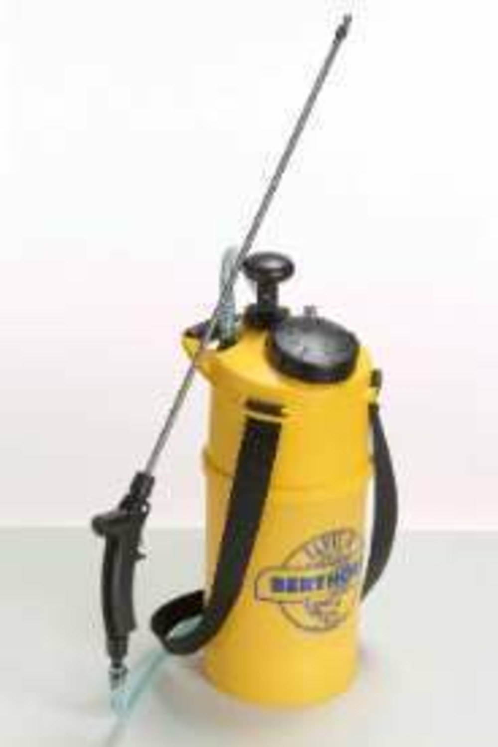 Pulvérisateur à pression prèalable elyte 8 lance inox 6l