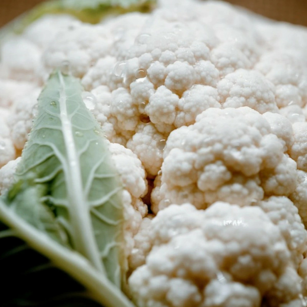 Plants de chou-fleur belot hf1 barquette de 6 mottes
