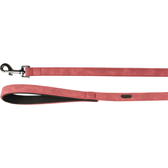 Laisse de 1 mètre x 20 mm delu, rouge, pour chien.
