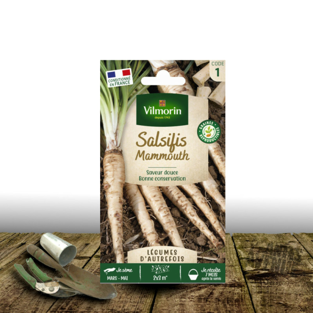 Graines de salsifis mammouth - vilmorin sachet