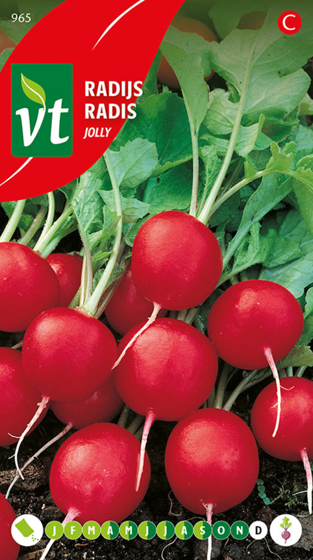 Radis jolly - ca. 8 gr (livraison gratuite)