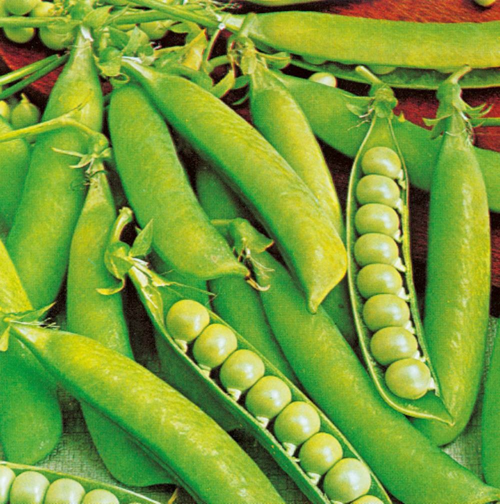 Pois annonay - 150 g