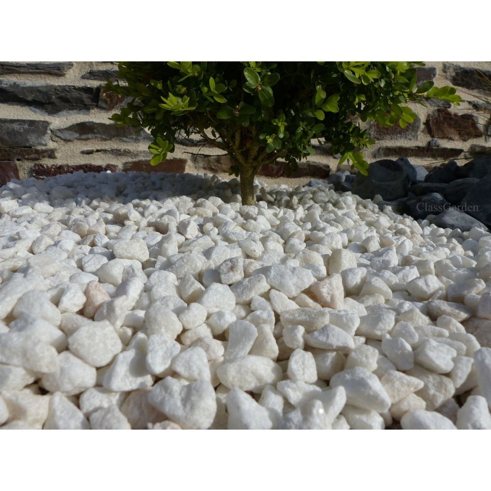 Gravier blanc brillant 8-12 pack de 5 m² - 10 sacs - 200 kg