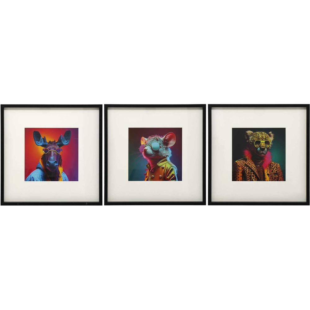 Ensemble de 3 cadres animaux pop