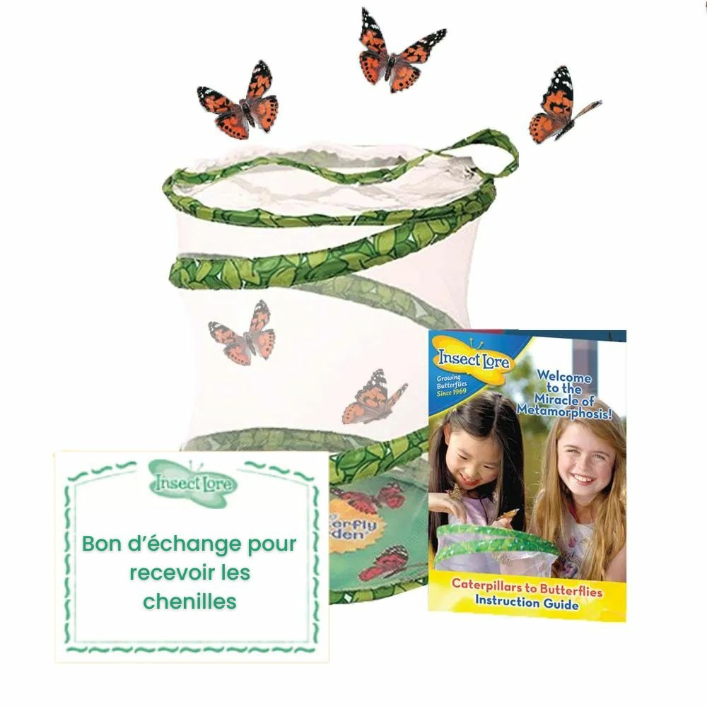 Kit d'élevage de papillons pavillon - bon pour chenilles