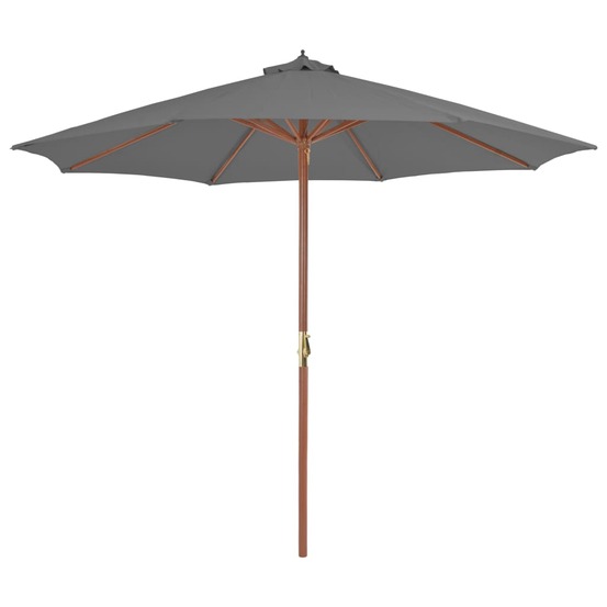 Parasol d'extérieur avec mât en bois 300 cm anthracite