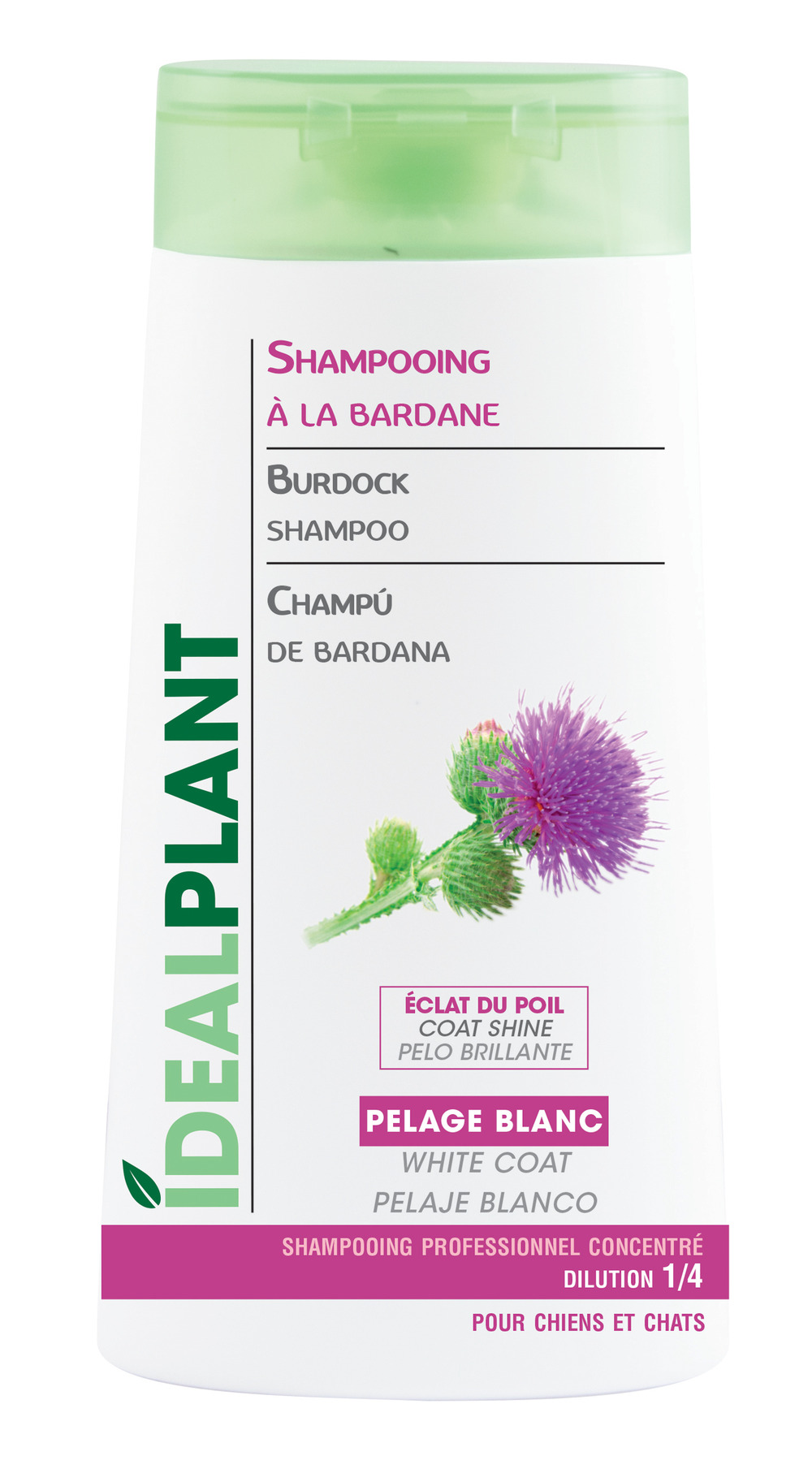 Shampoing blanc à la bardane idealplant