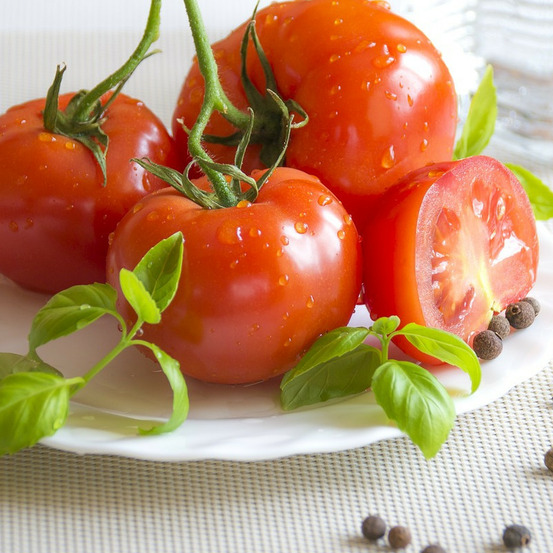 Graines de tomate moneymaker - prix malin sachet