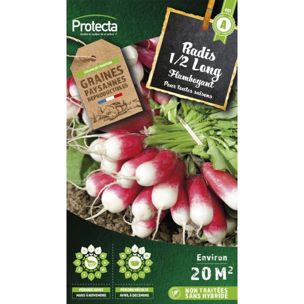 Graines paysannes - radis 1/2 long flamboyant