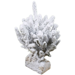 Sapin de noel epicéa rouge de norvège floqué blanc 45/60cm