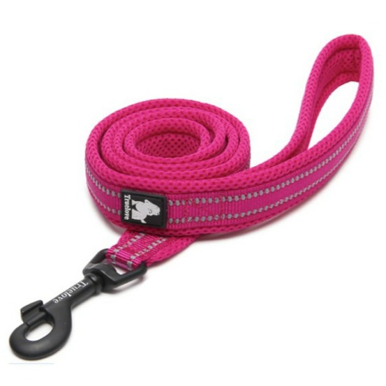 Laisse chien walk assortie au harnais truelove country plus - 200 cm - Rose