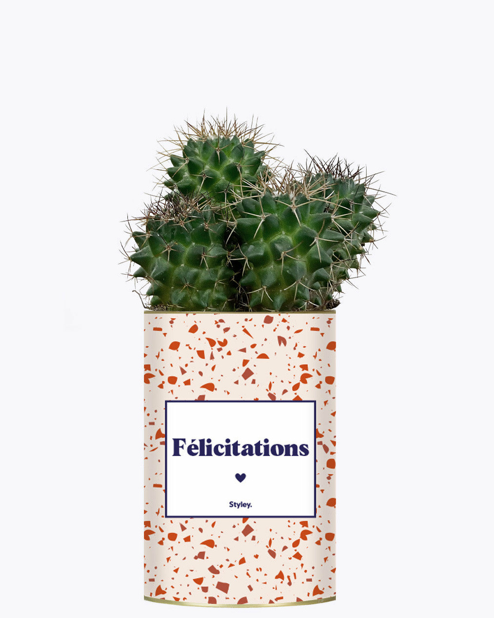Plante personnalisée - félicitations - cactus