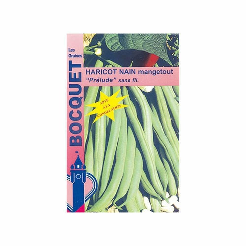 Graines d'haricot nain mangetout prélude - 100g