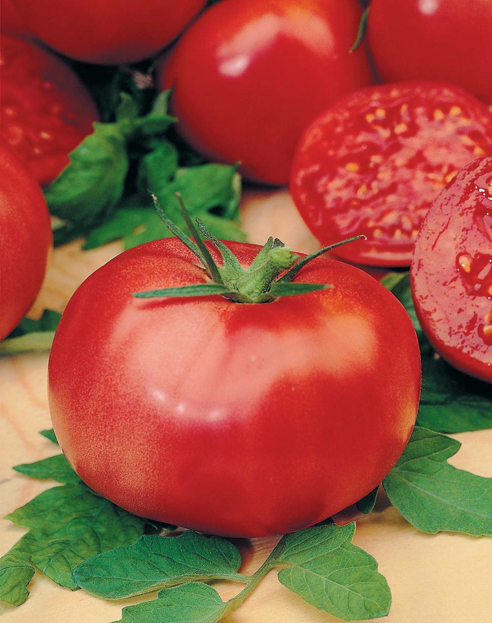 Tomate rose de berne - 0. 5 g