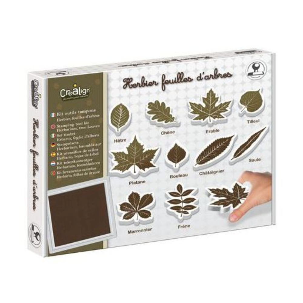 Kit herbier feuilles d'arbre - kit outils tampons