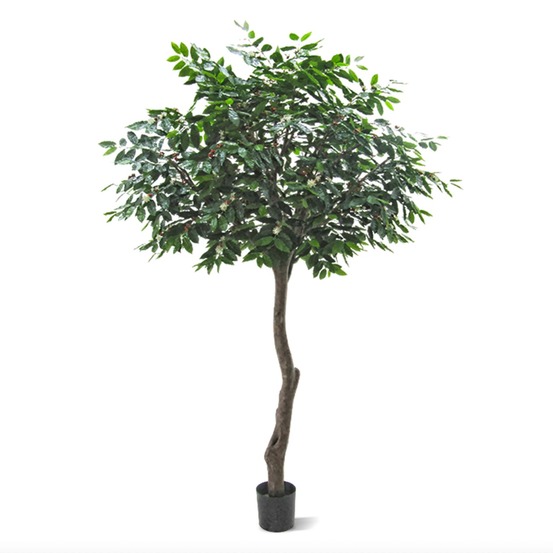 Arbre artificielle caféier arabica géant 320 cm