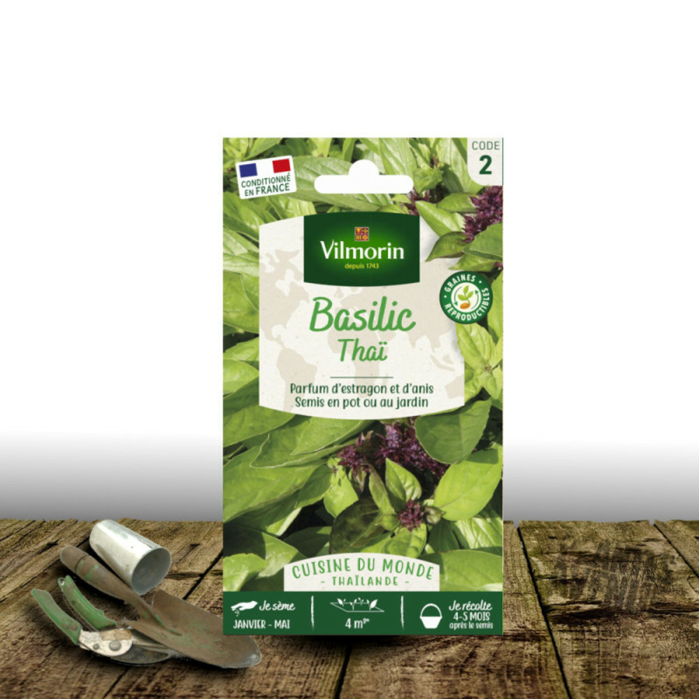 Graines de basilic thaï - vilmorin sachet