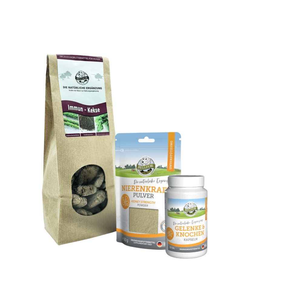 Kit économique no. 6 - articulations et os 30 gélules + poudre pour les reins 250g + biscuits immunitaires 200g