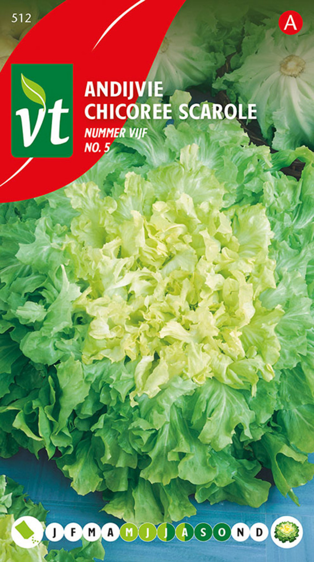 Chicoree scarole no 5 - ca. 2 gr (livraison gratuite)