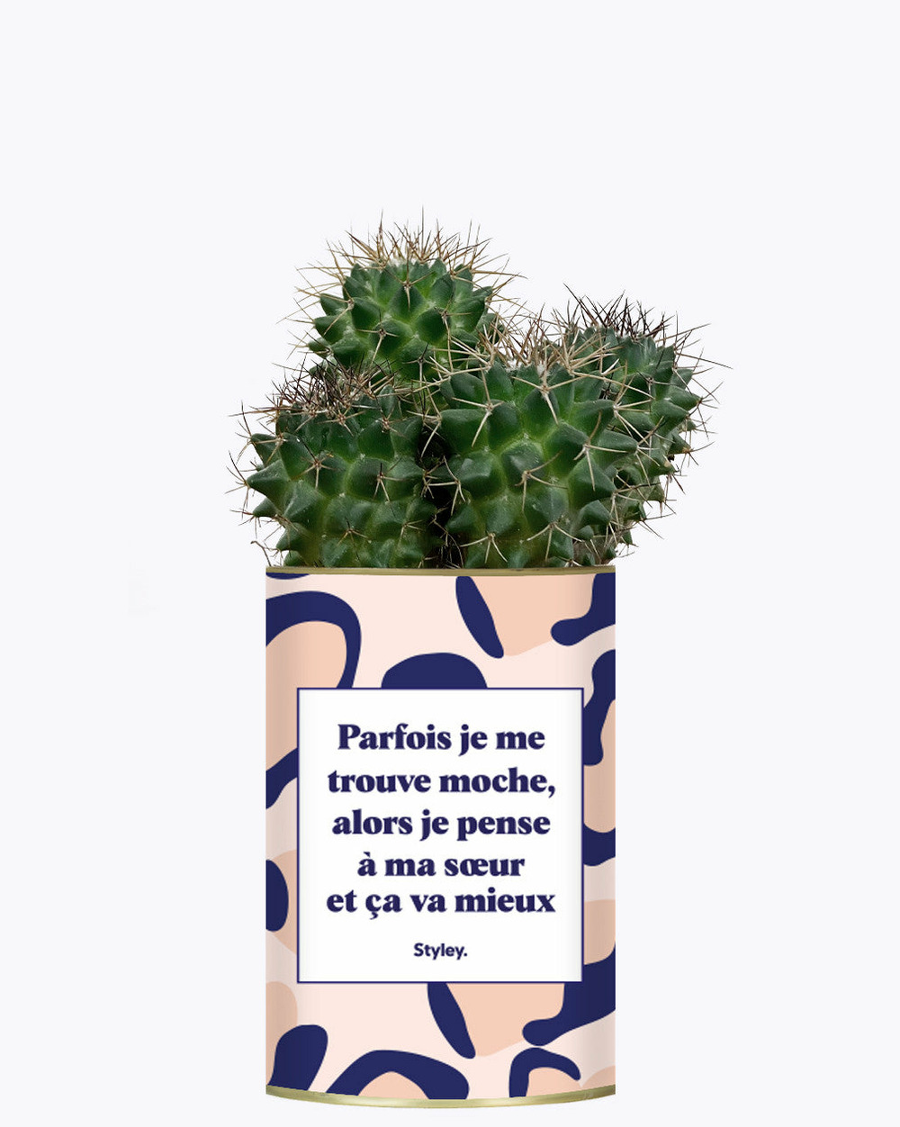 Plante personnalisée - soeur moche - cactus
