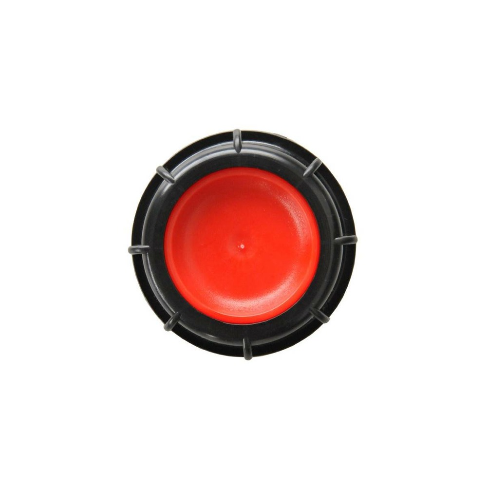 Bouchon femelle 2 pouces