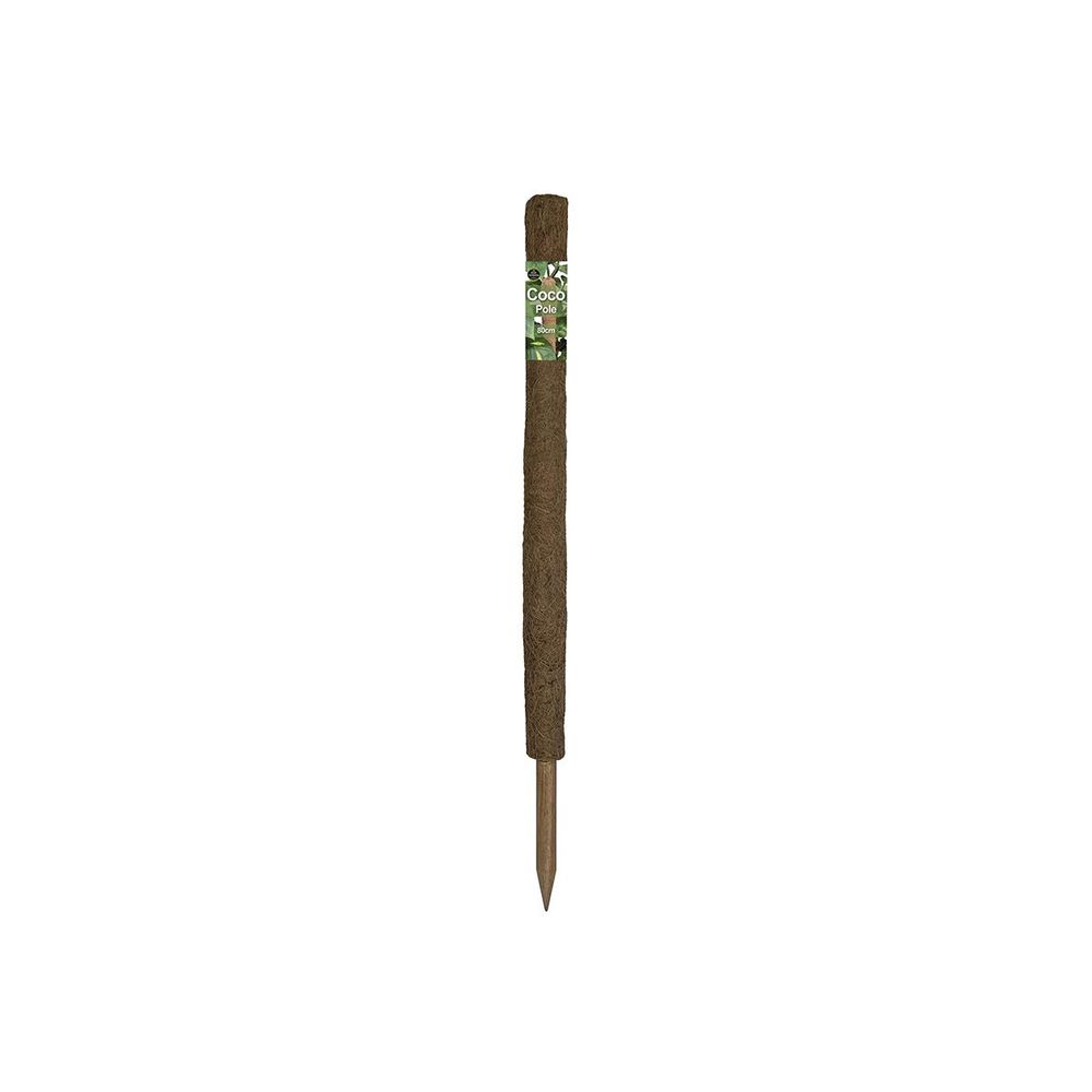 Support naturel - tuteur en coco - 80cm
