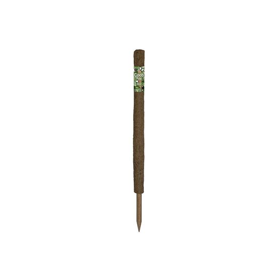 Support naturel - tuteur en coco - 80cm