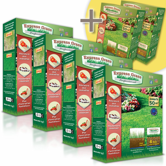 Gazon express professionnel (300m²) - fiable, résistant froid et chaleur - germination rapide et dense (14 jours)