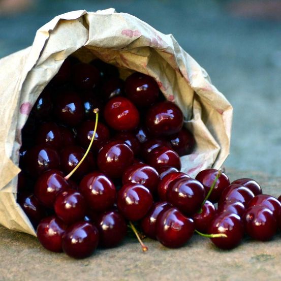 Cerisier bigarreau délice de malicorne® 'agoudel' pot de 12l - gobelet 3 ans