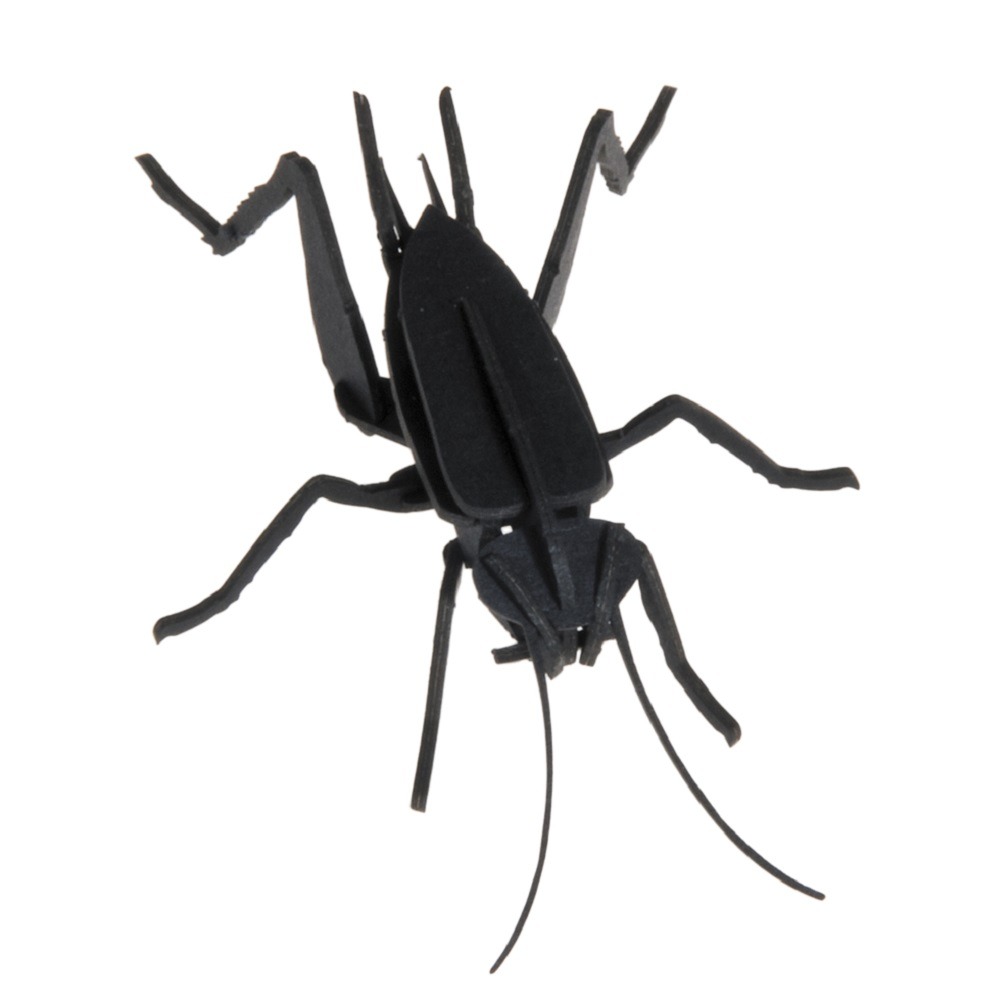 Maquette 3d en papier cricket