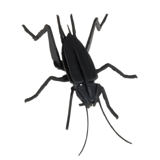 Maquette 3d en papier cricket