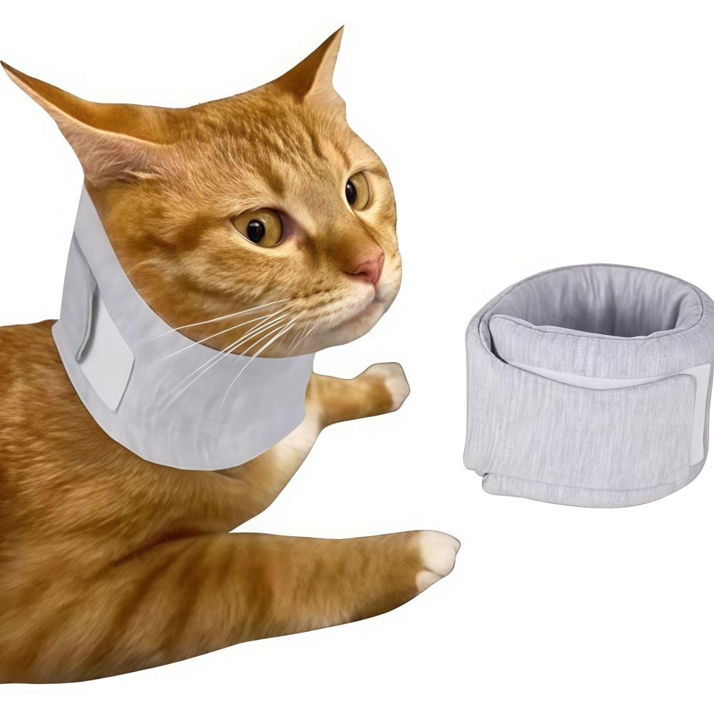 Collerette pour chat et chien