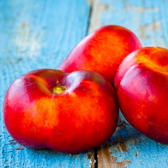 Brugnon Plat à Chair Jaune…