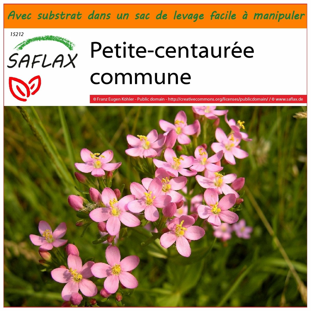 Garden in the bag - petite-centaurée commune - 250 graines - centaurium erythraea
