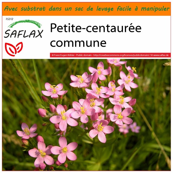 Garden in the bag - petite-centaurée commune - 250 graines - centaurium erythraea