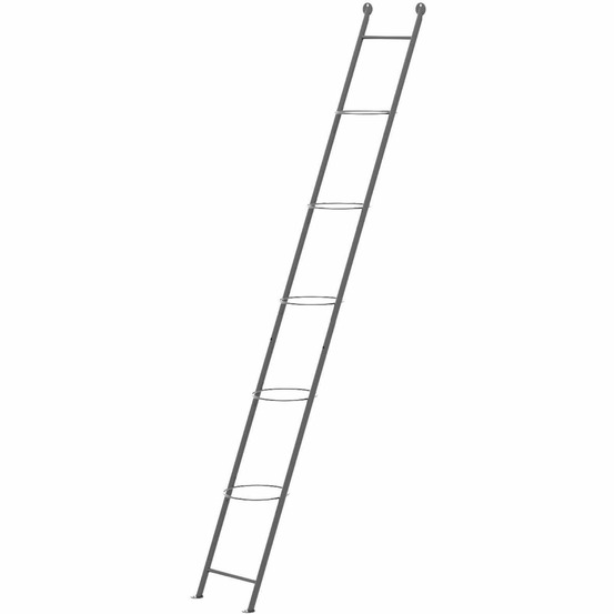 Support à plantes en acier ladder