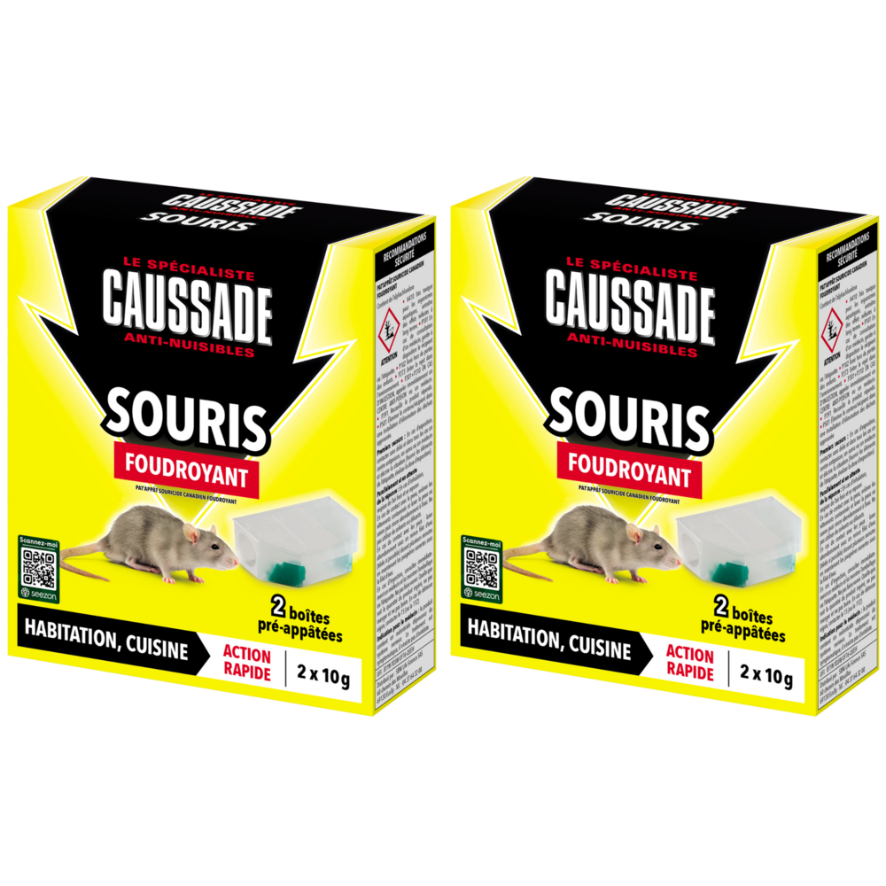 Caussade 4 boîtes anti-souris pré-appâtées – action foudroyante, prêtes à poser, usage lieux secs et humides, 2x20g