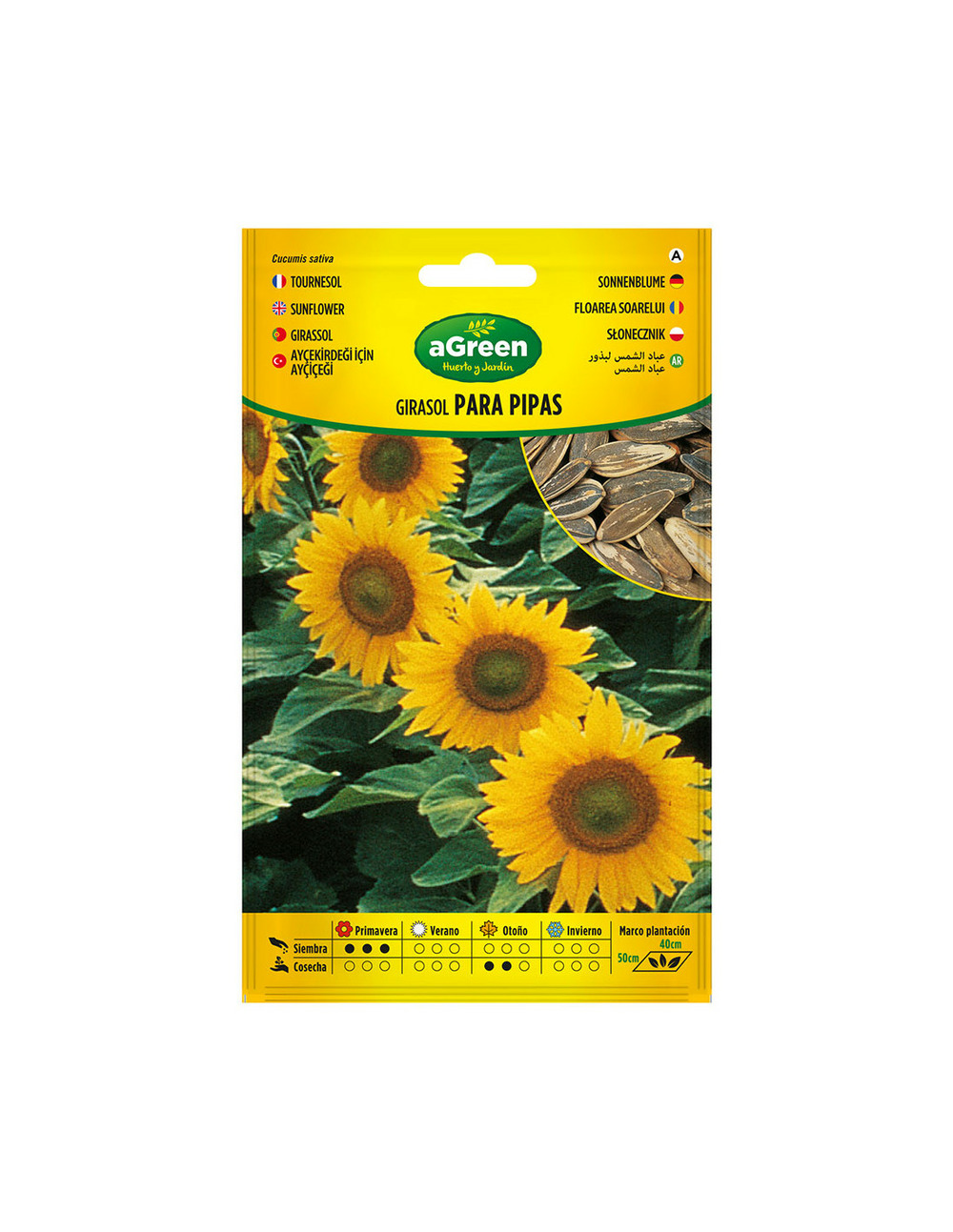 Graines de tournesol pour tuyaux 301024bolsh daccord - agreen