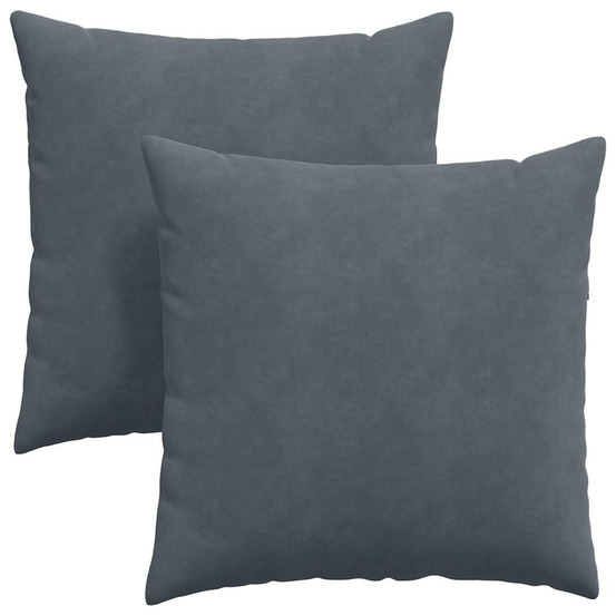 Coussins de canapé 2 pcs gris foncé 60 x 60 cm