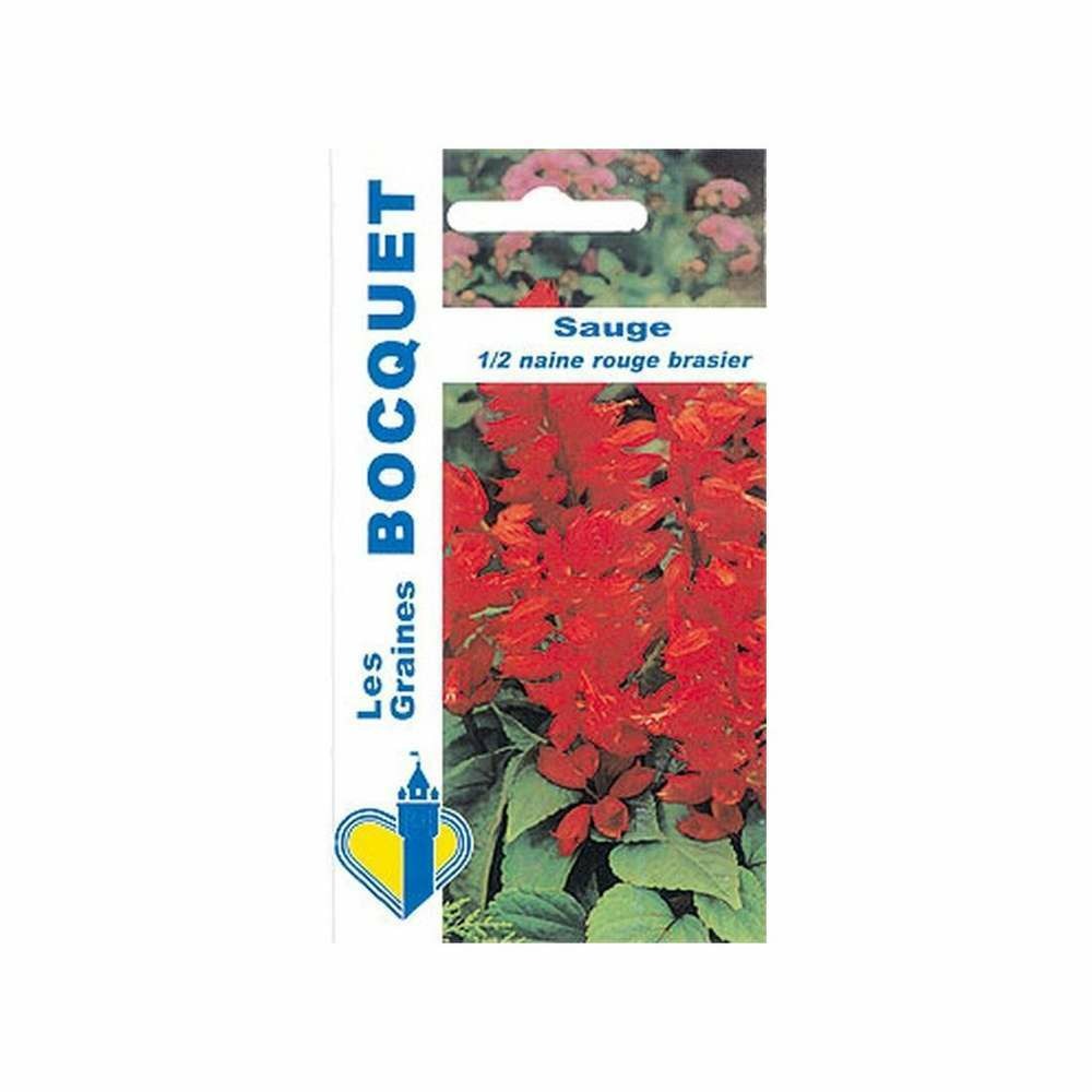 Sauge demi naine rouge