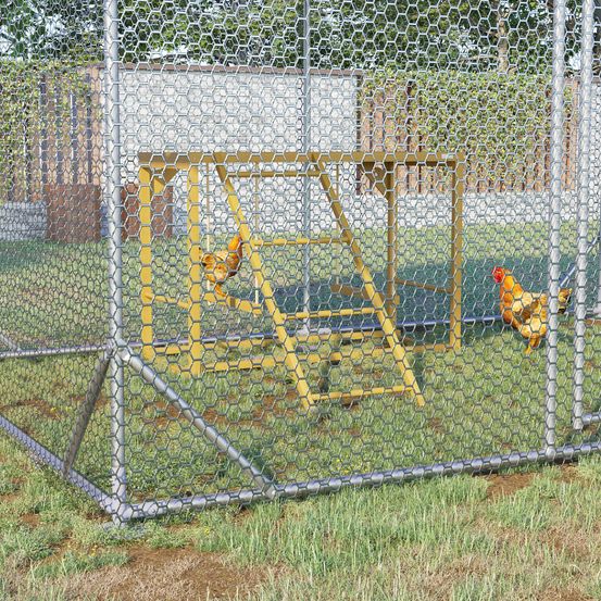 Aire de jeux poule bois massif perchoir balançoire échelle poulailler 100cm - comfortxl pet living