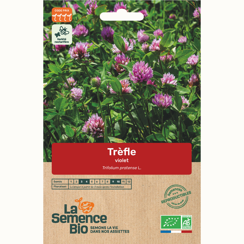 Trèfle violet - graines bio