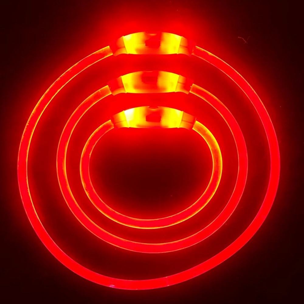 Collier lumineux rechargeable pour chien taille l rouge : 70 cm de circonférence