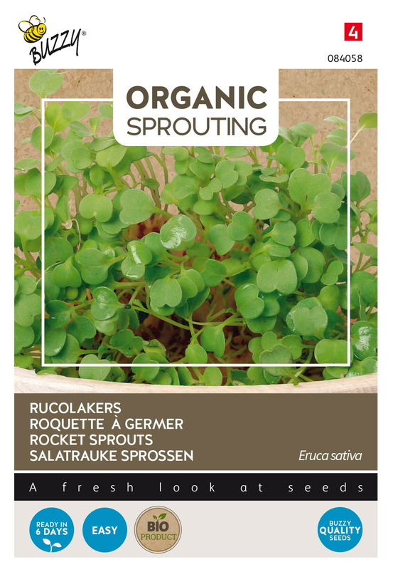 Buzzy organic sprouting de roquette (bio) - ca. 30 gr (livraison gratuite)